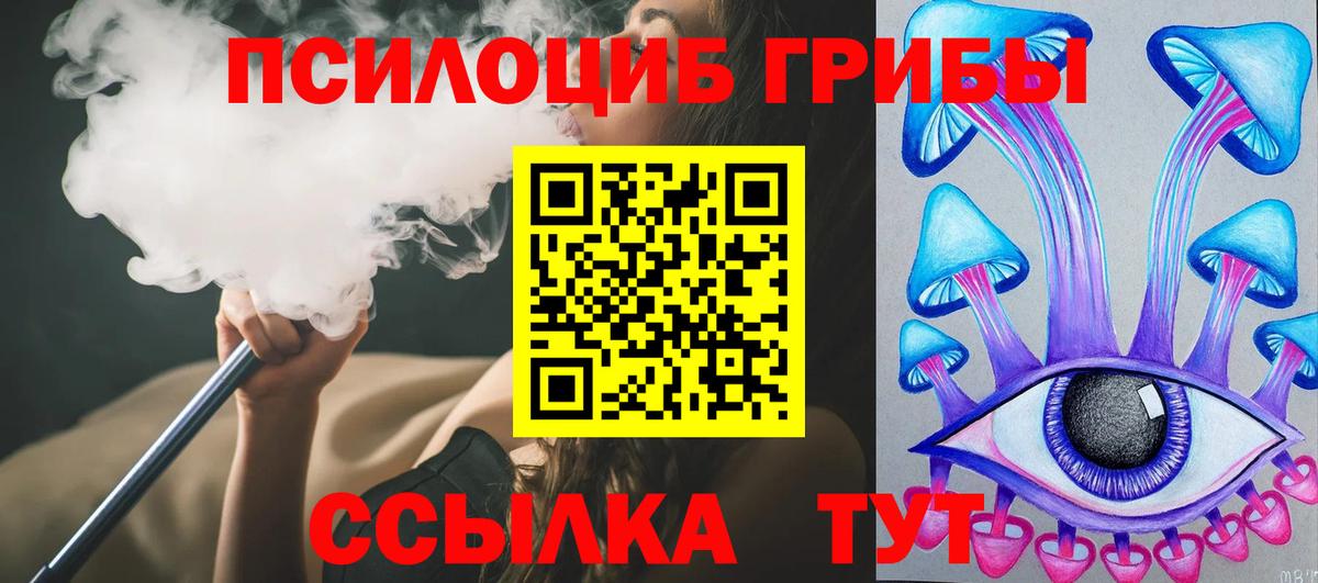 Владимир  Псилоцибиновые грибы Psilocybe  Вход с VPN 